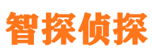 汪清侦探公司